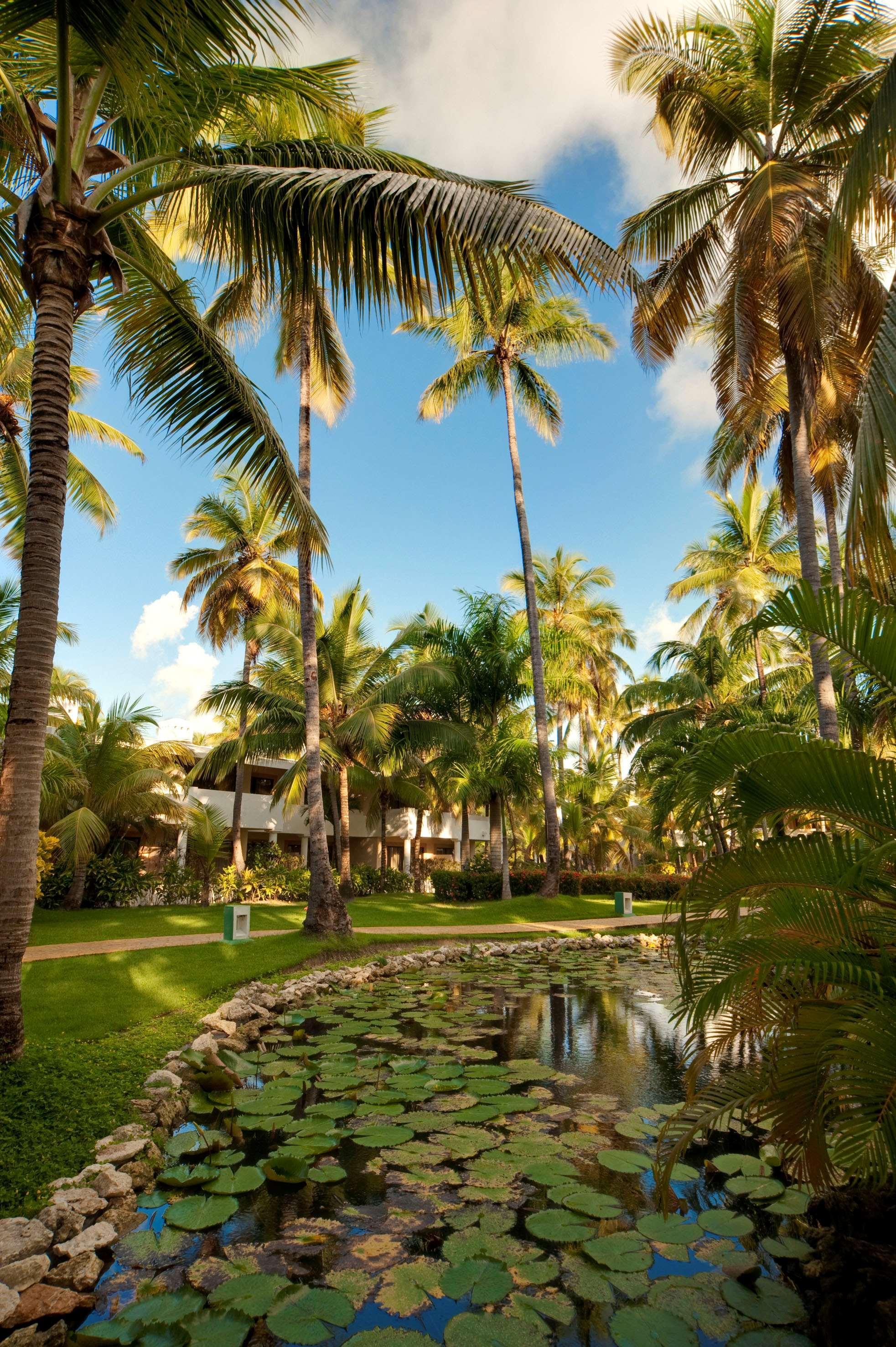 Resort Meliá Caribe Resort-all Inclusive Punta Cana