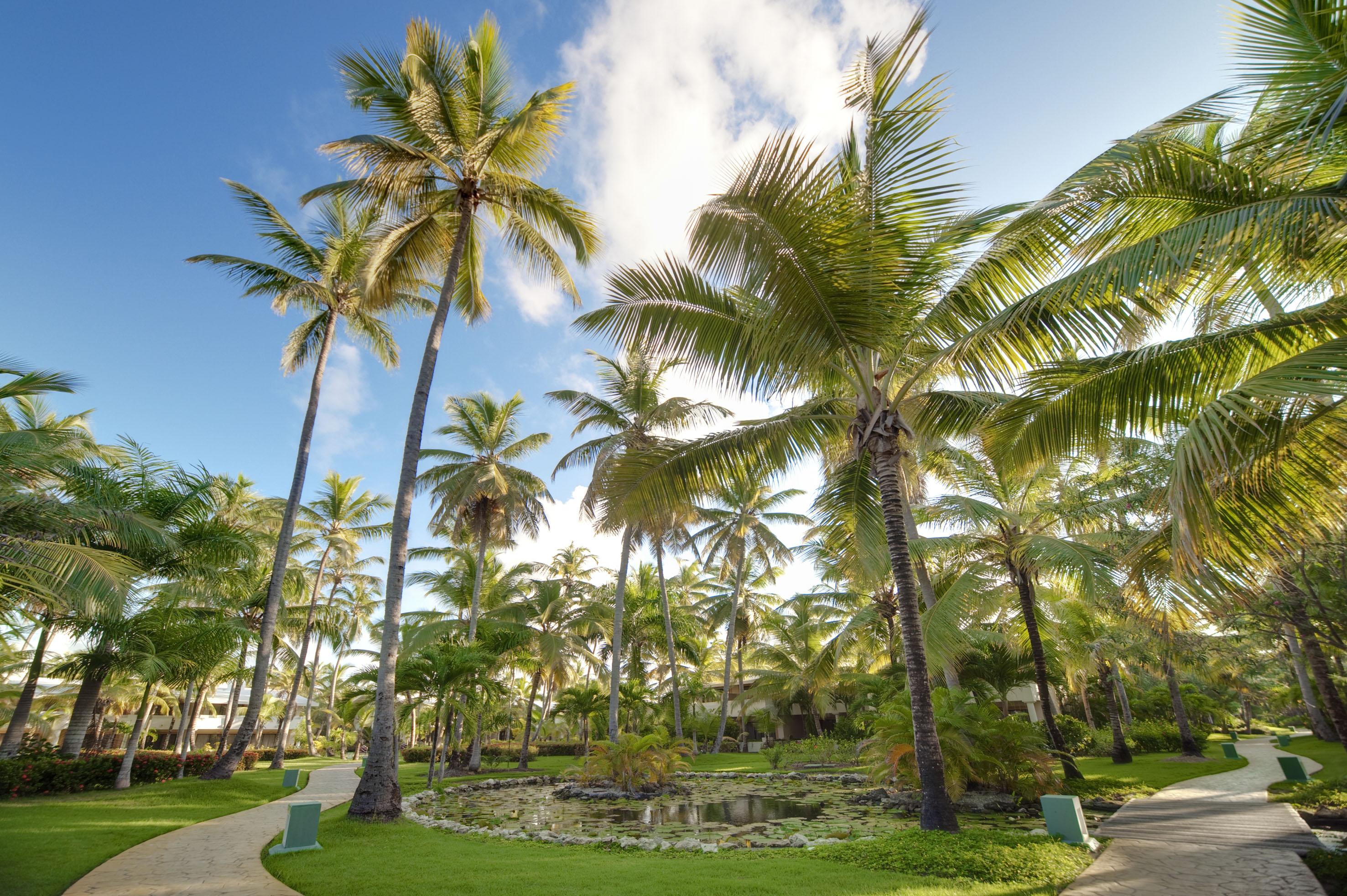 Resort Melia Caribe 5*